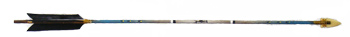 Painted Arrow
