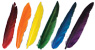 6 Colors Available