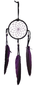 Black Beauty Dreamcatcher